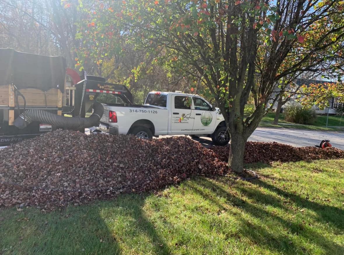 496151463_1274633748000535_8104624936410754169_n (1)