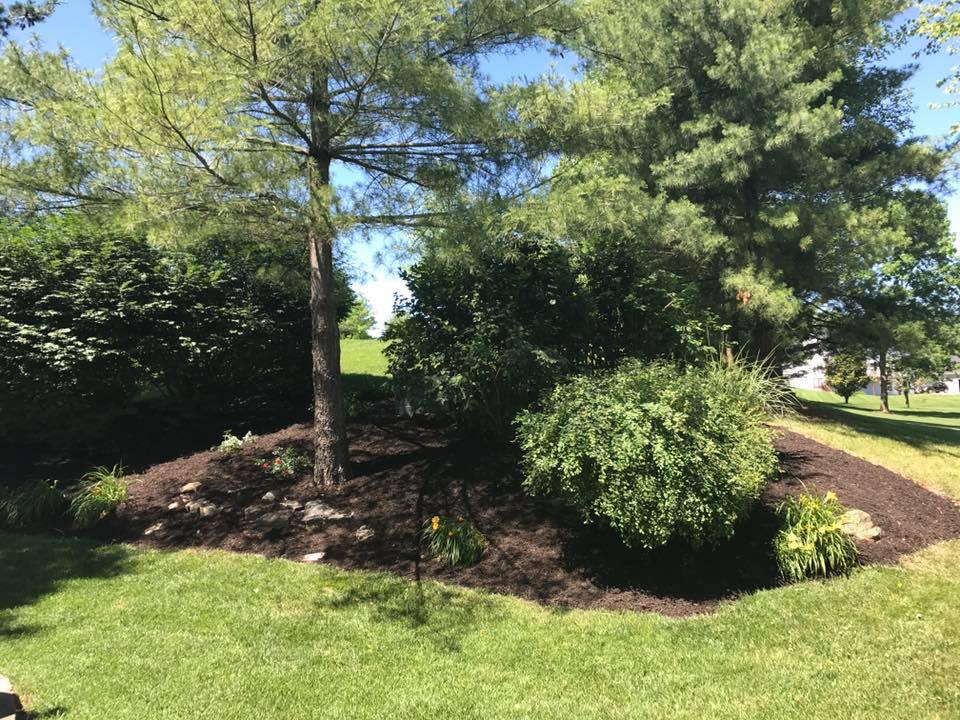 512769465_10059910750756323_2421427160405967742_n