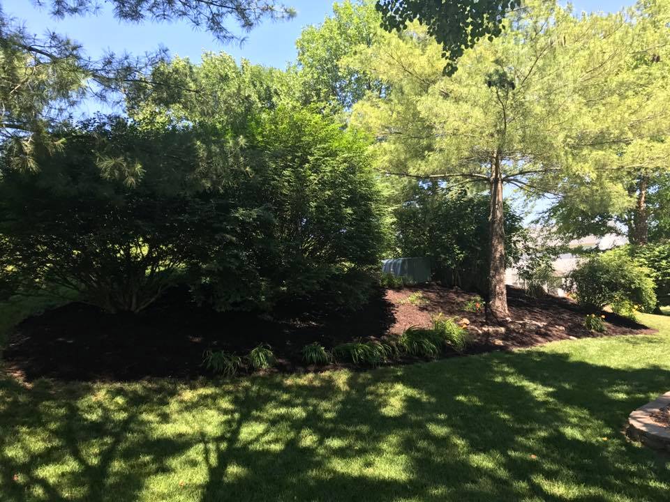 513217415_10059910804089651_1978007866153834838_n