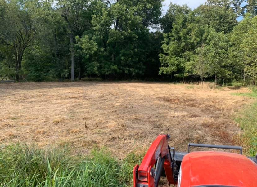 95062540_2907939035953566_8382030751507415040_n