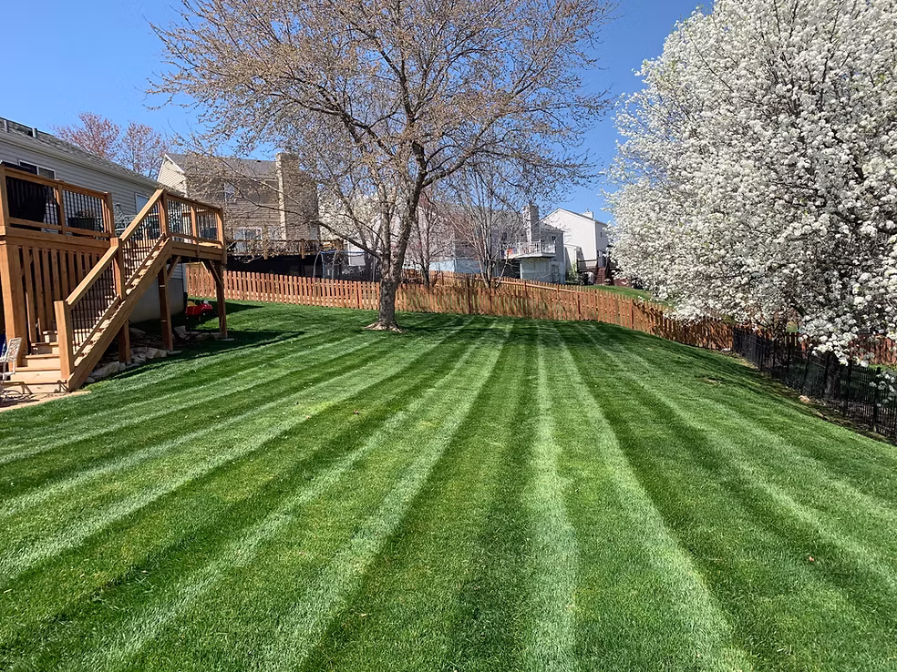 f58c75_94c999da12c44938a25e5dcccc3a51b9~mv2