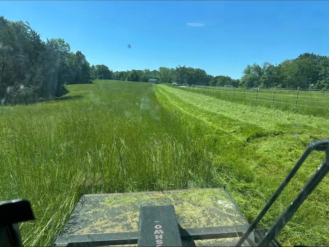 temp_image_7B312F1A-F833-4D0D-B2AD-EF3DDC2B141B