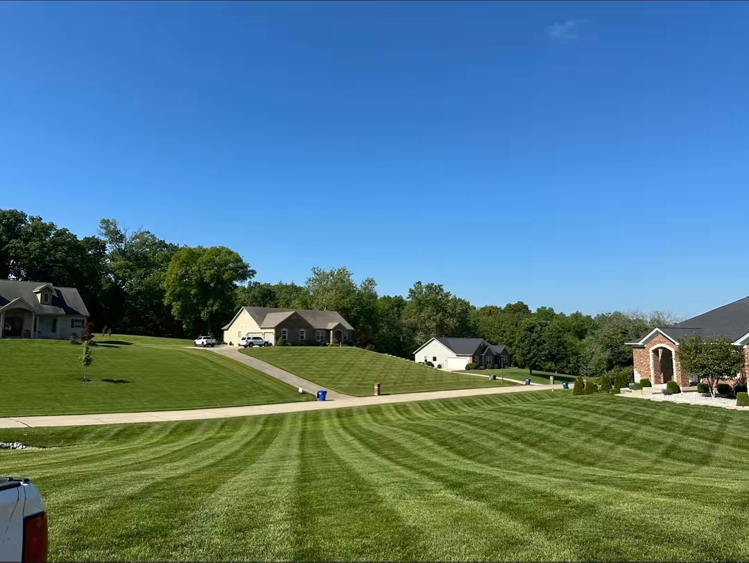 temp_image_E121AF65-6CFF-4C85-A3B3-D7F866BA6A95